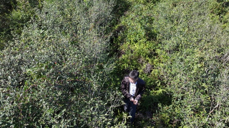 1715322533397534.jpg 微信图片_20240510123002.jpg